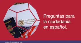 preguntas para la ciudadania